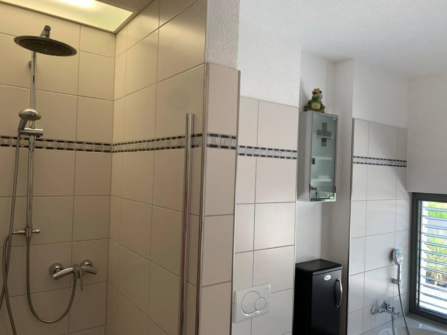 Panorama Apartment Kandern Zewnętrze zdjęcie